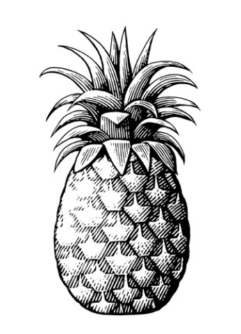 Pineapple art